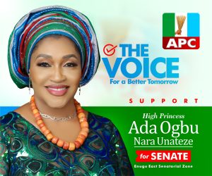 APC Senator who resigns from Tinubu Support Group over Muslim-Muslim ticket says decision irresponsible