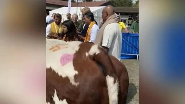 Rishi Sunak performs Gau pooja with wife in London, wins praise from Indians