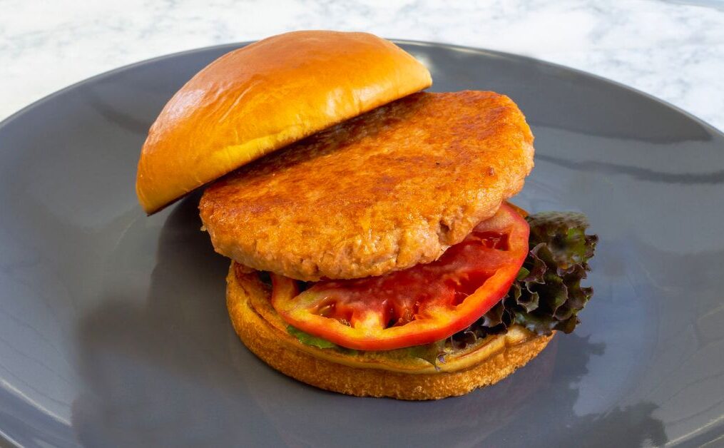 The ISH™ Company Launches Salmonish™ Burgers